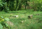 Szczecin-Klęskowo pozostałości cmentarza ewangelickiego 